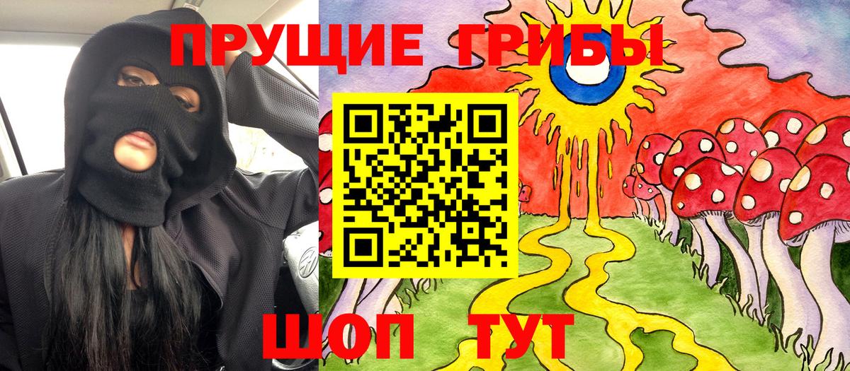 Псилоцибиновые грибы Magic Shrooms Заводоуковск