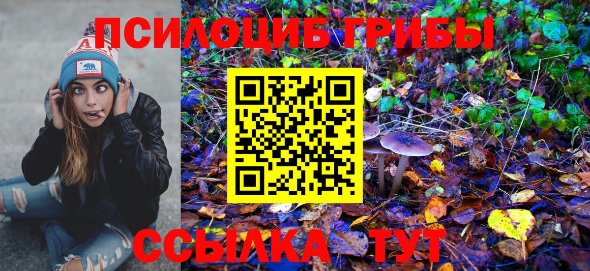 Заводоуковск  Псилоцибиновые грибы Cubensis  как найти закладки  Вход с VPN 